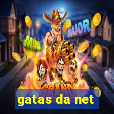 gatas da net